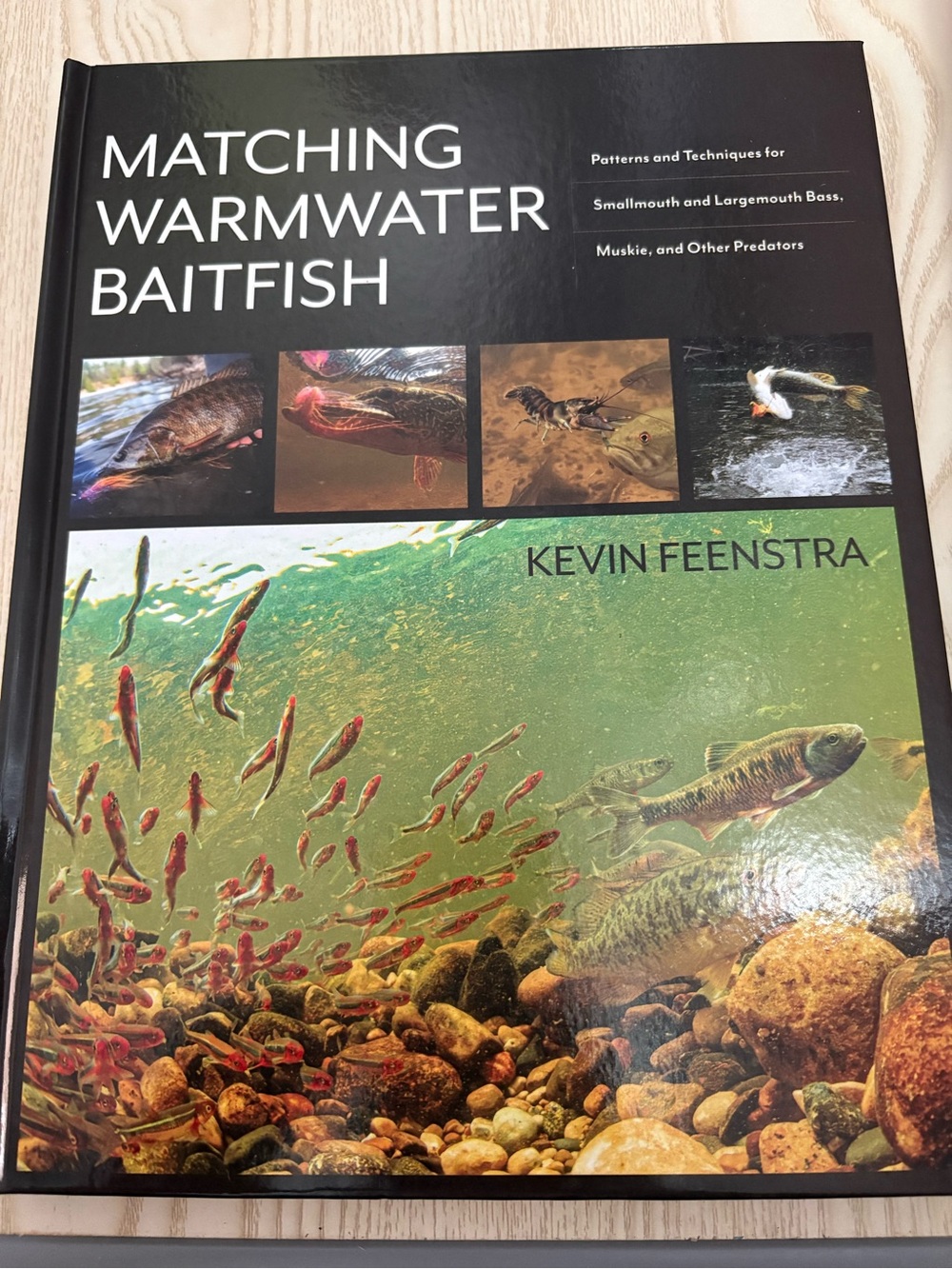MATCHING WARMWATER BAITFISH by – Kevin Feenstra